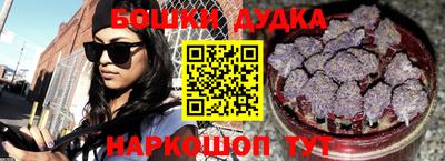 крисы Ставрополь
