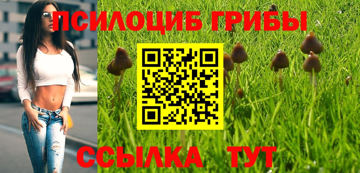 Псилоцибиновые грибы GOLDEN TEACHER Новотроицк